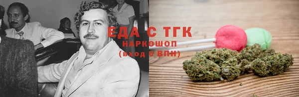 гашик Осинники