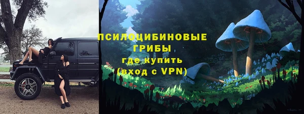 бутират Алексеевка